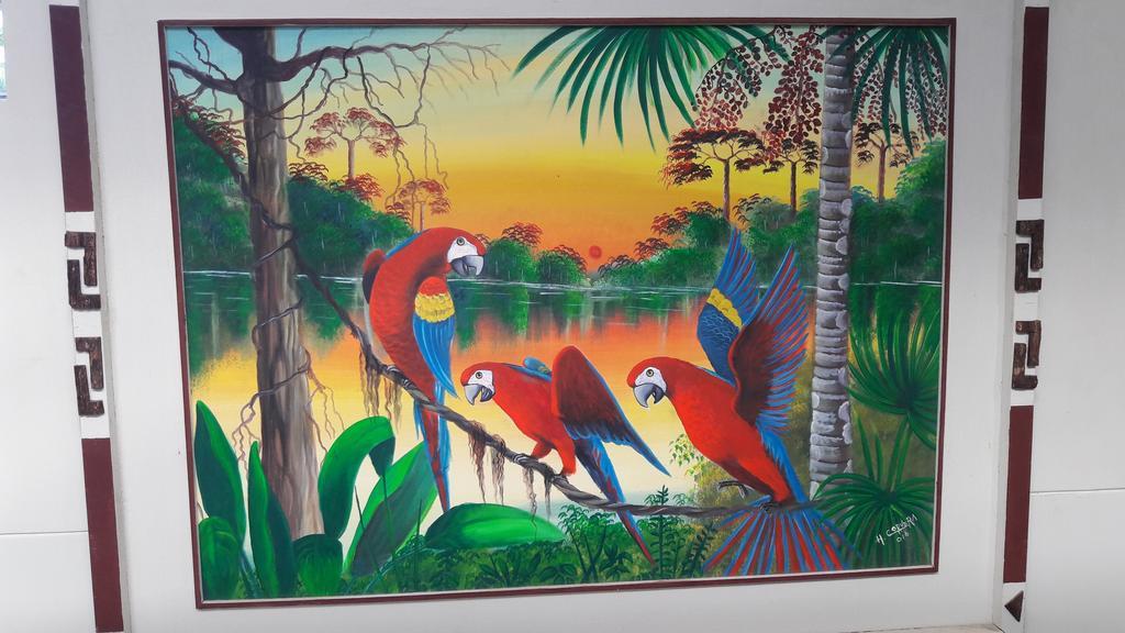 Tambopata Boton De Oro Hotel المظهر الخارجي الصورة