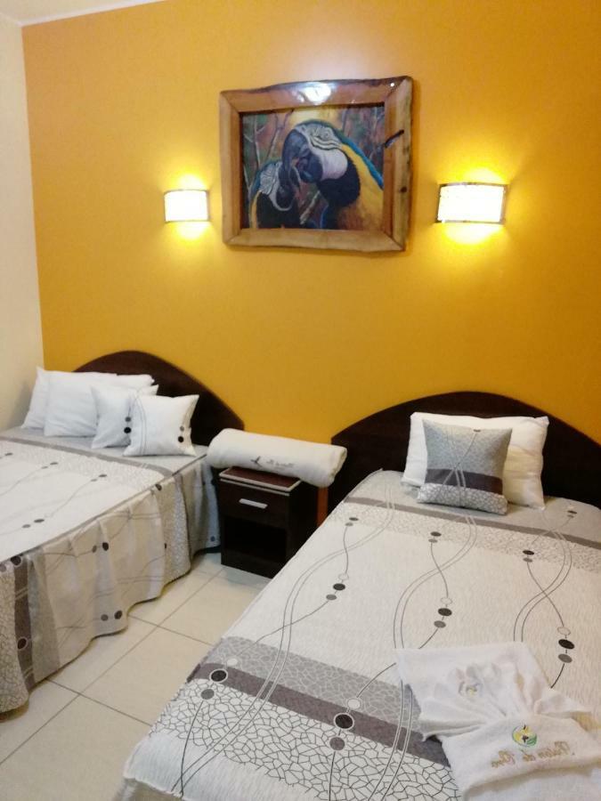 Tambopata Boton De Oro Hotel المظهر الخارجي الصورة